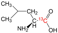 同位素标记肽